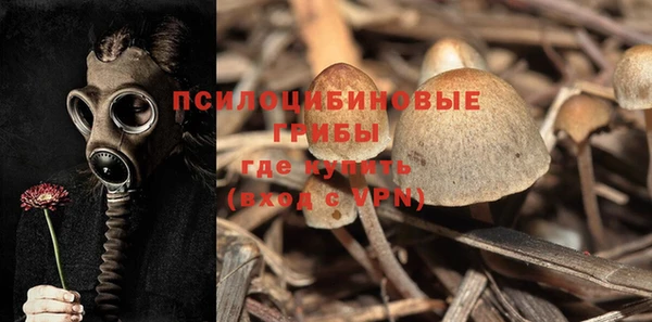 прущая мука Баксан