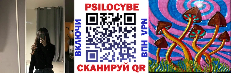 Псилоцибиновые грибы мицелий  Саратов 